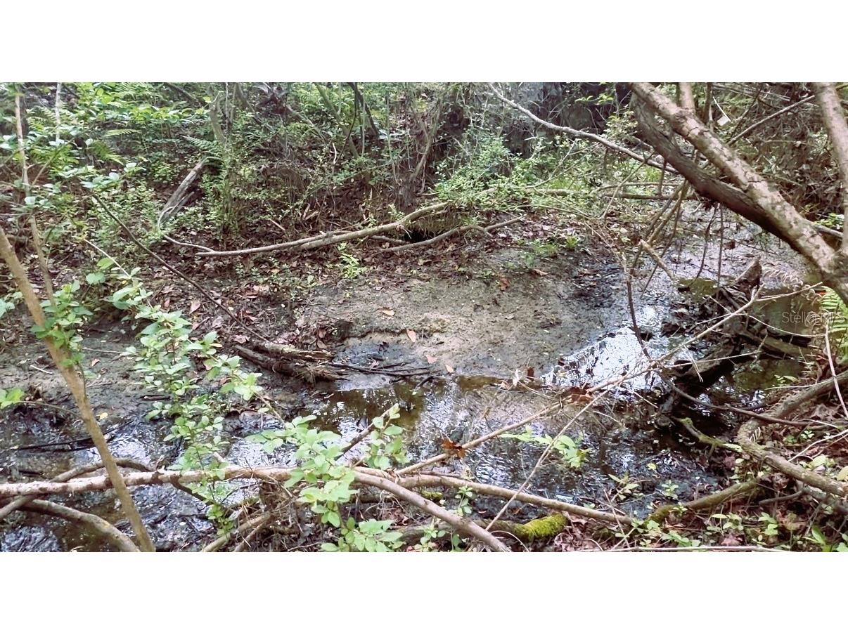 10350 Deer Run White Springs FL 32096 GC539009 image65