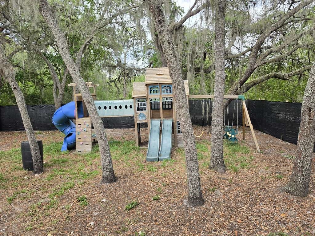 10350 Evergreen Street New Port Richey FL 34654 TB8510881 image6