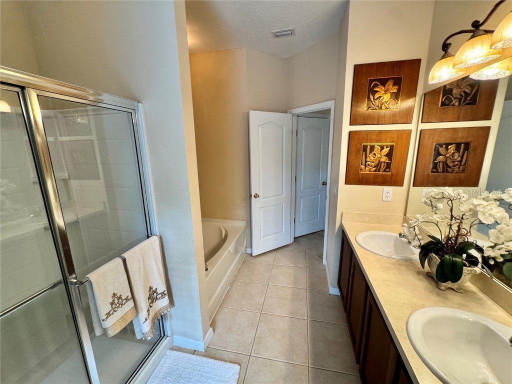 10350 Lake District Lane #S Orlando FL 32832 O6314922 image28