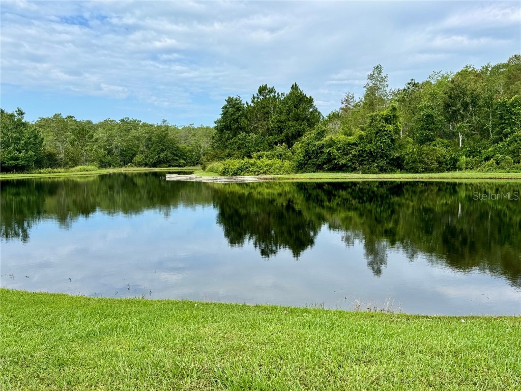 10350 Lake District Lane #S Orlando FL 32832 O6314922 image34