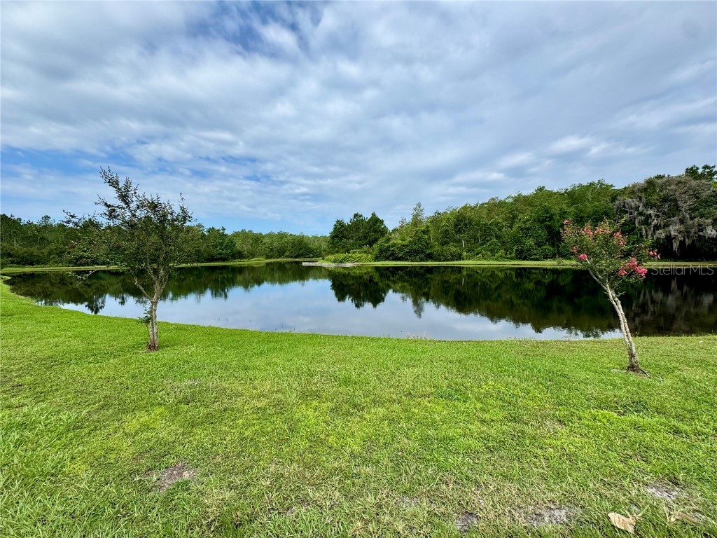 10350 Lake District Lane #S Orlando FL 32832 O6314922 image35