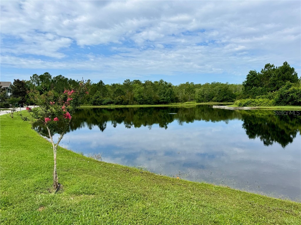 10350 Lake District Lane #S Orlando FL 32832 O6314922 image36