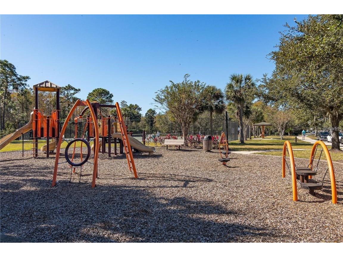 10350 Lake District Lane #S Orlando FL 32832 O6314922 image43