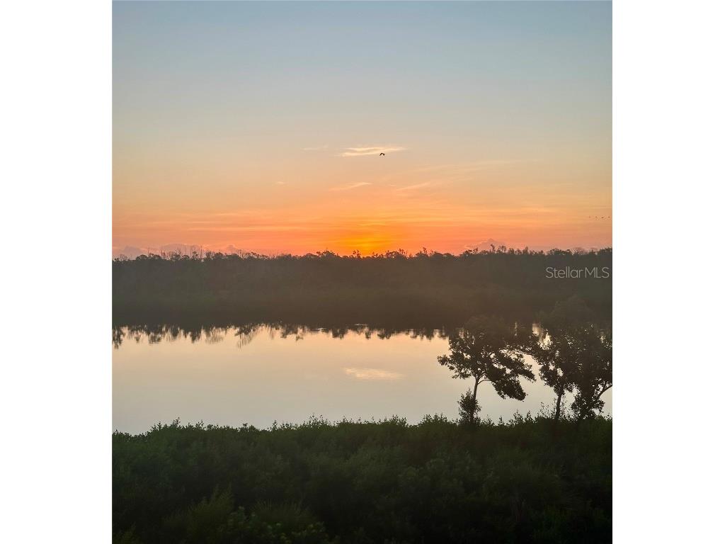 10350 Longshore Road #61 Placida FL 33946 - WEST CORAL CREEK D6143498 image97