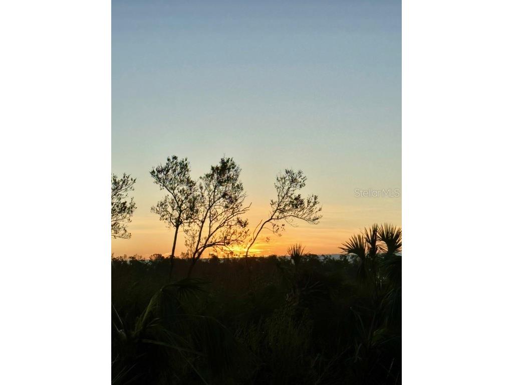 10350 Longshore Road #61 Placida FL 33946 - WEST CORAL CREEK D6143498 image98