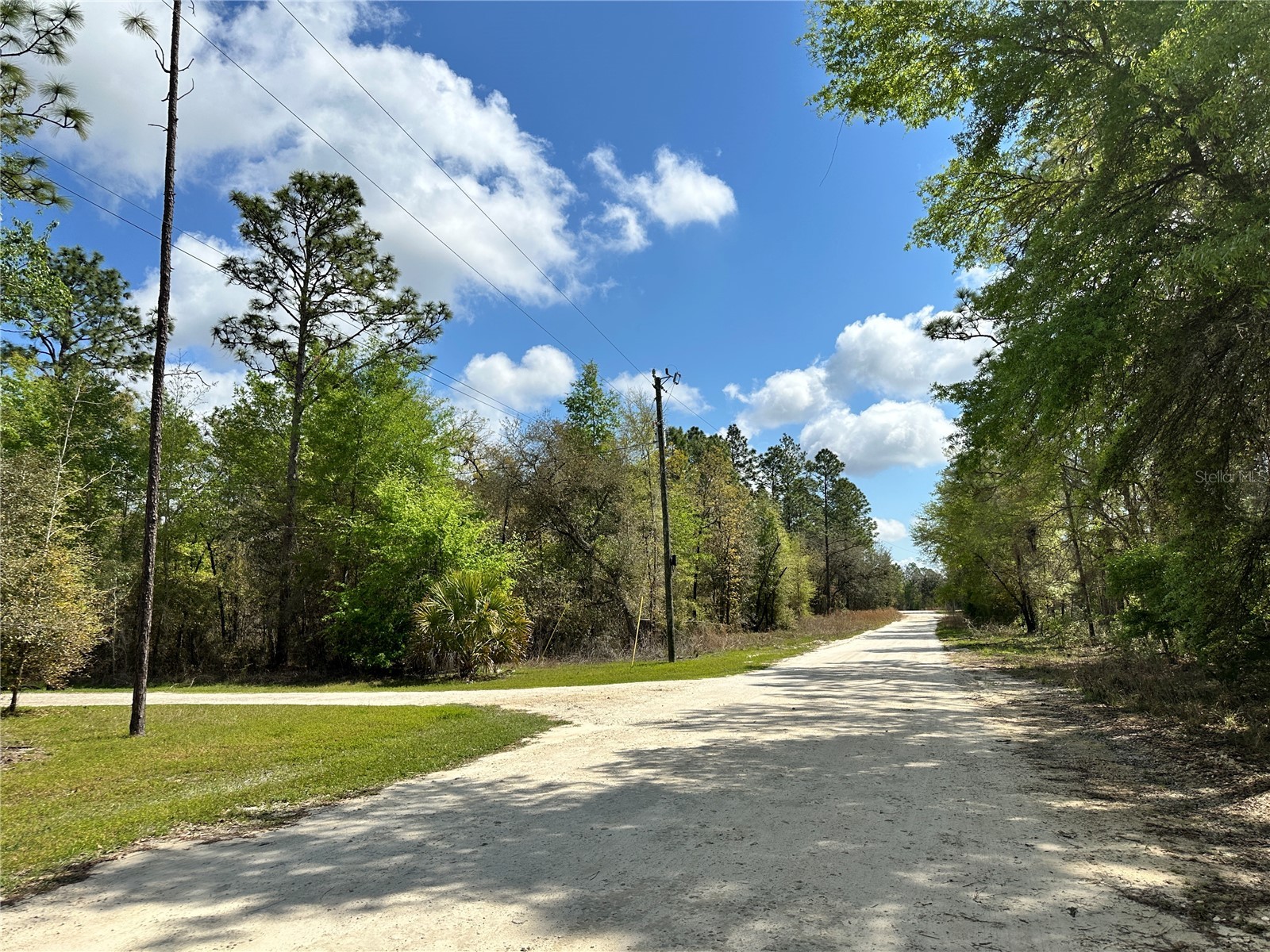 10350 NE 74th Place Bronson FL 32621 OM718810 image1