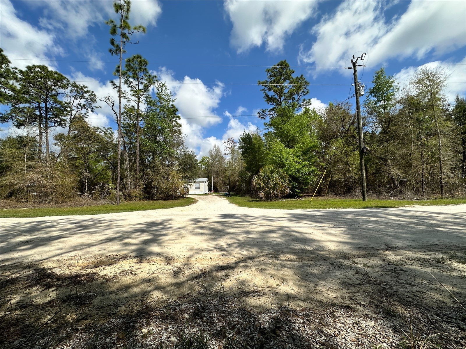 10350 NE 74th Place Bronson FL 32621 OM718810 image12