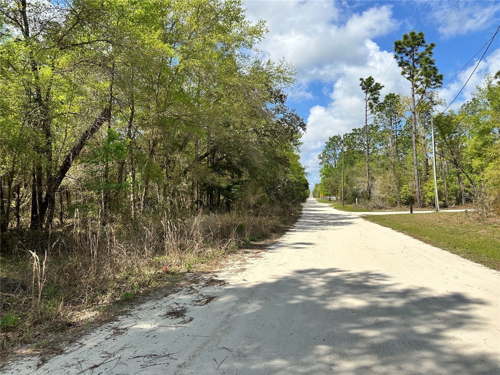 10350 NE 74th Place Bronson FL 32621 OM718810 image5