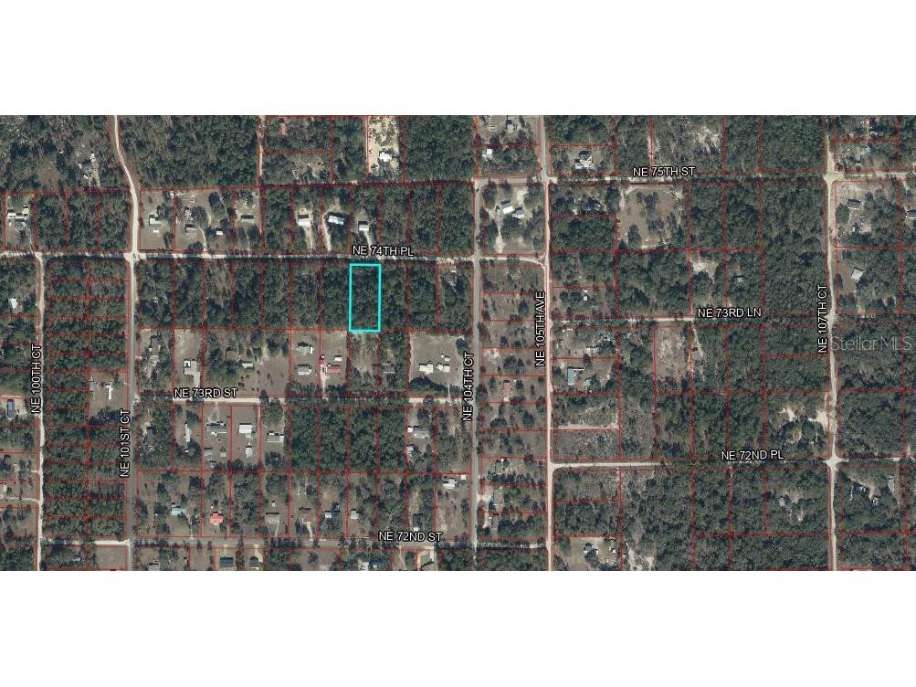 10350 NE 74th Place Bronson FL 32621 OM718810 image8