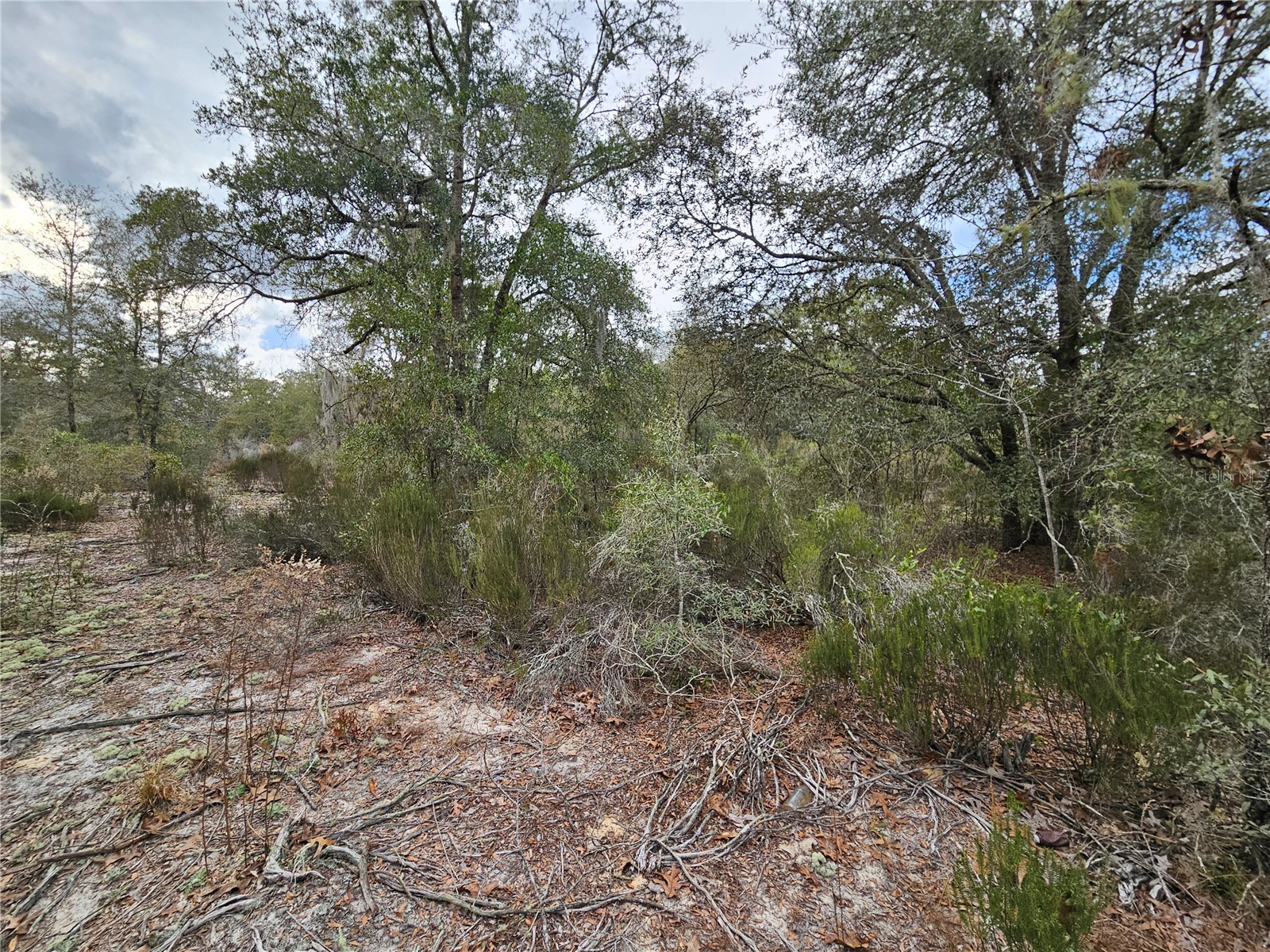 10350 NE 97th Place Archer FL 32618 OM715845 image1