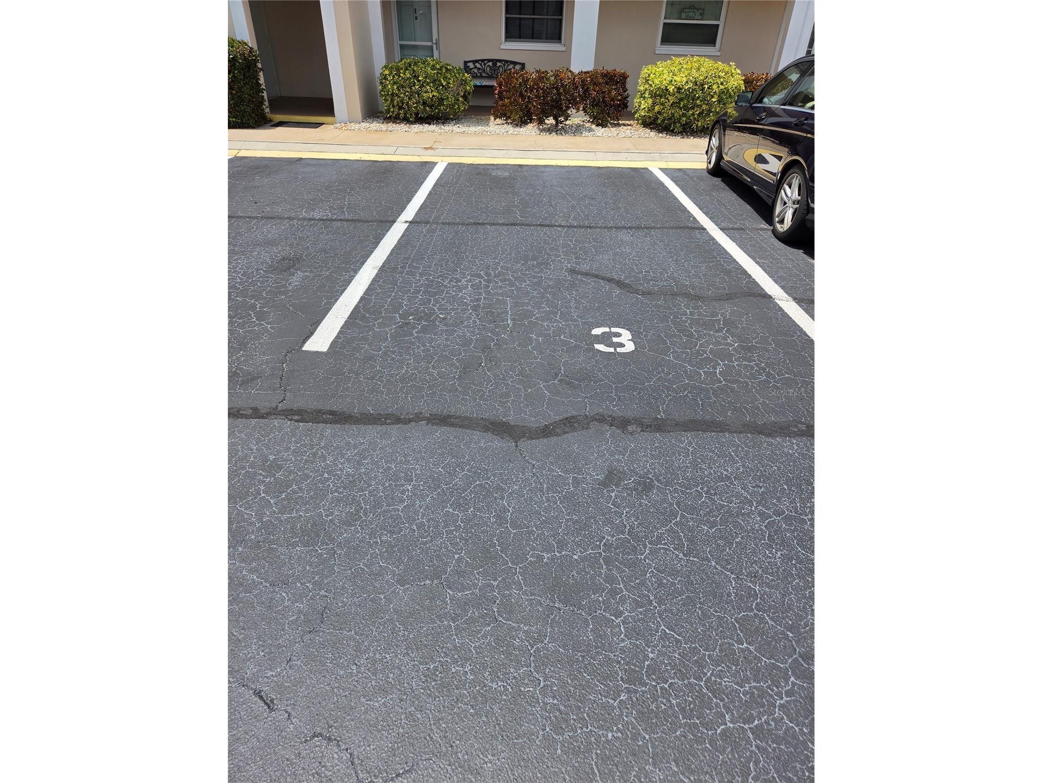 10351 Regal Drive #3 Largo FL 33774 TB8510954 image17