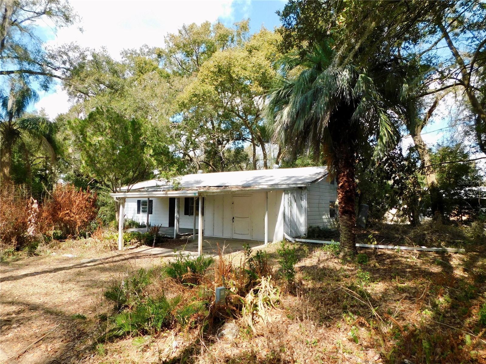 10351 Us Highway 301 Dade City FL 33525 TB8481136 image10