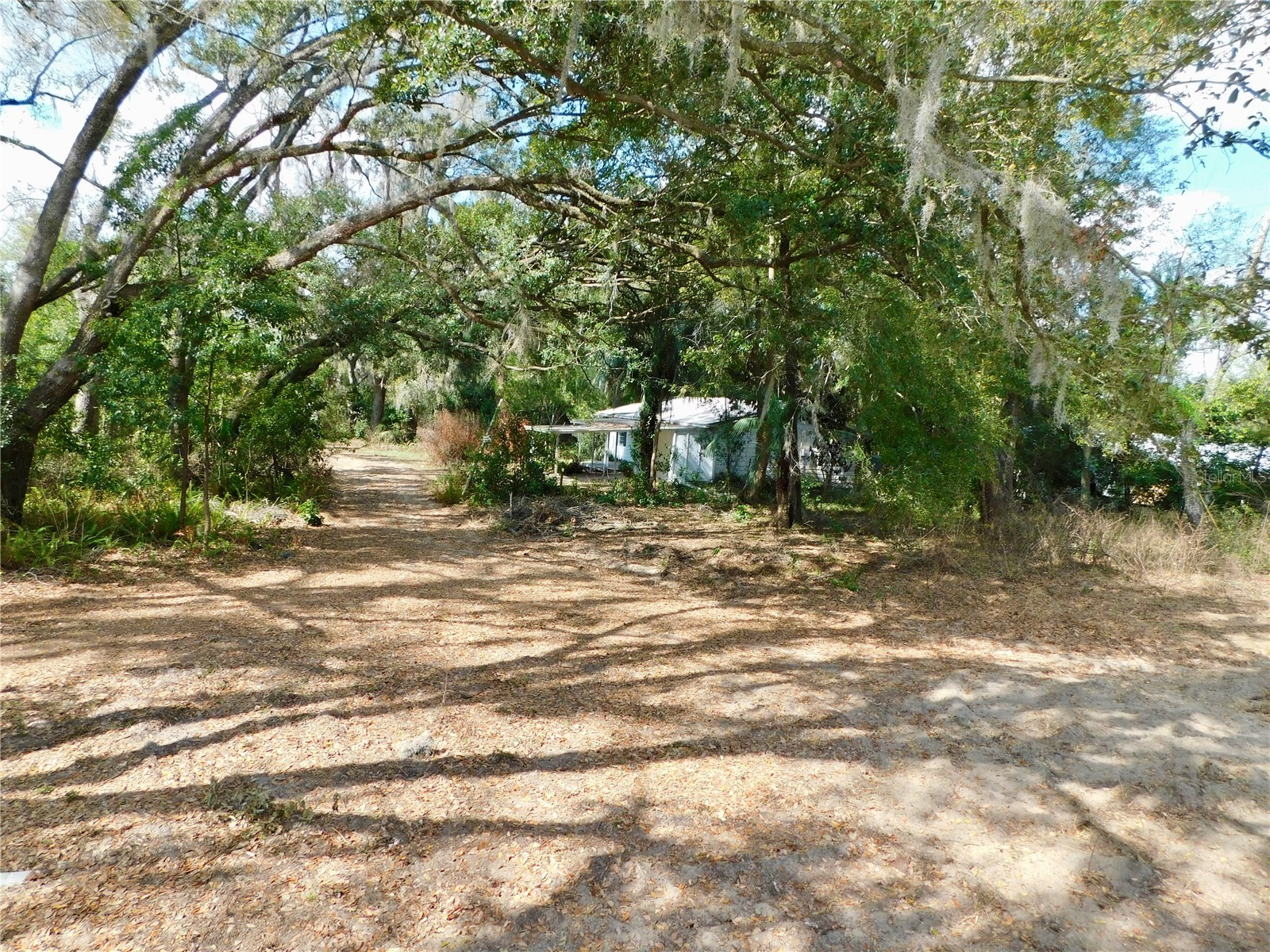 10351 Us Highway 301 Dade City FL 33525 TB8481136 image11