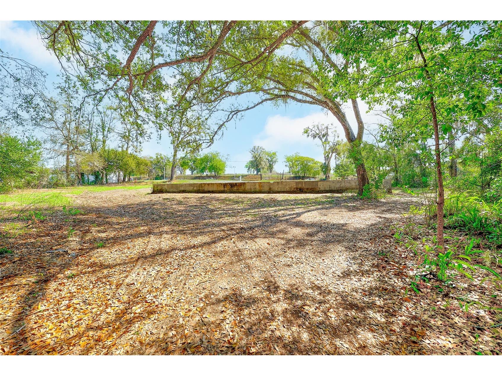 10351 Us Highway 301 Dade City FL 33525 TB8481136 image25