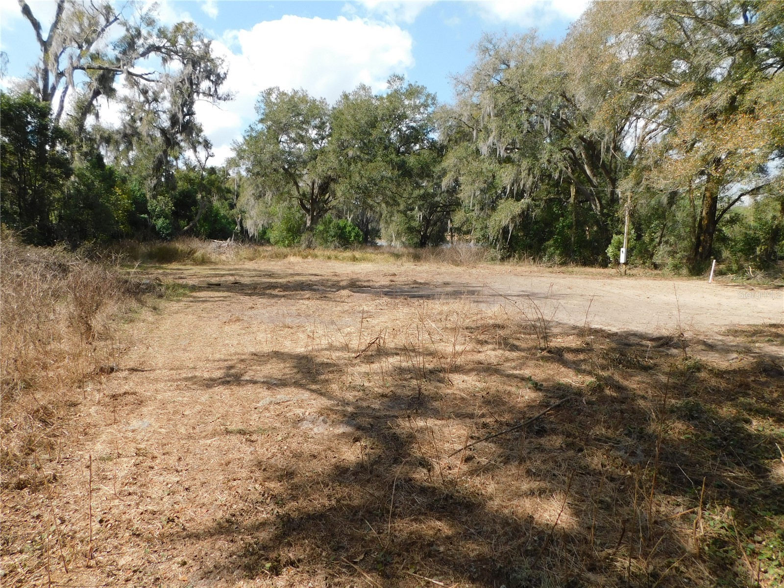 10351 Us Highway 301 Dade City FL 33525 TB8481136 image7