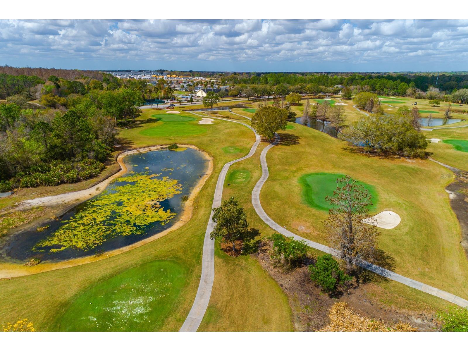 10352 Moshie Lane San Antonio FL 33576 TB8483991 image3