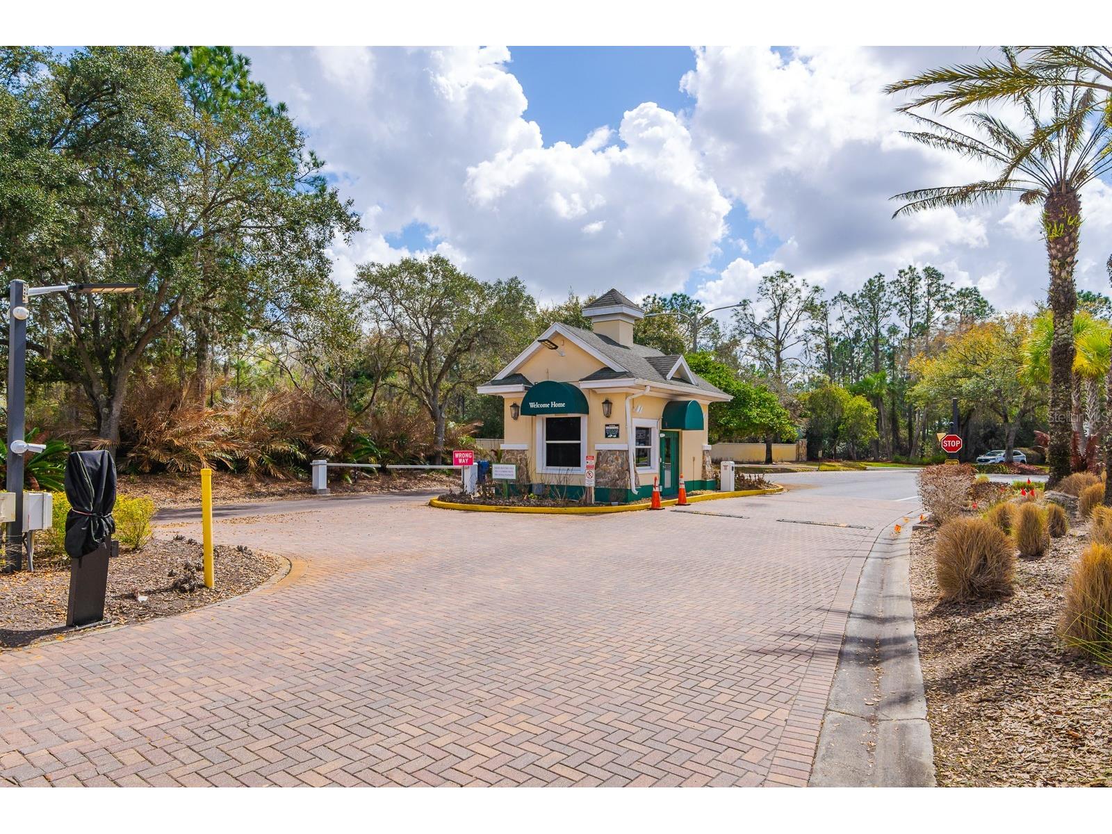 10352 Moshie Lane San Antonio FL 33576 TB8483991 image51