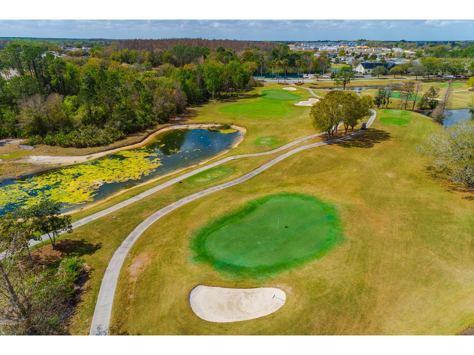 10352 Moshie Lane San Antonio FL 33576 TB8483991 image52