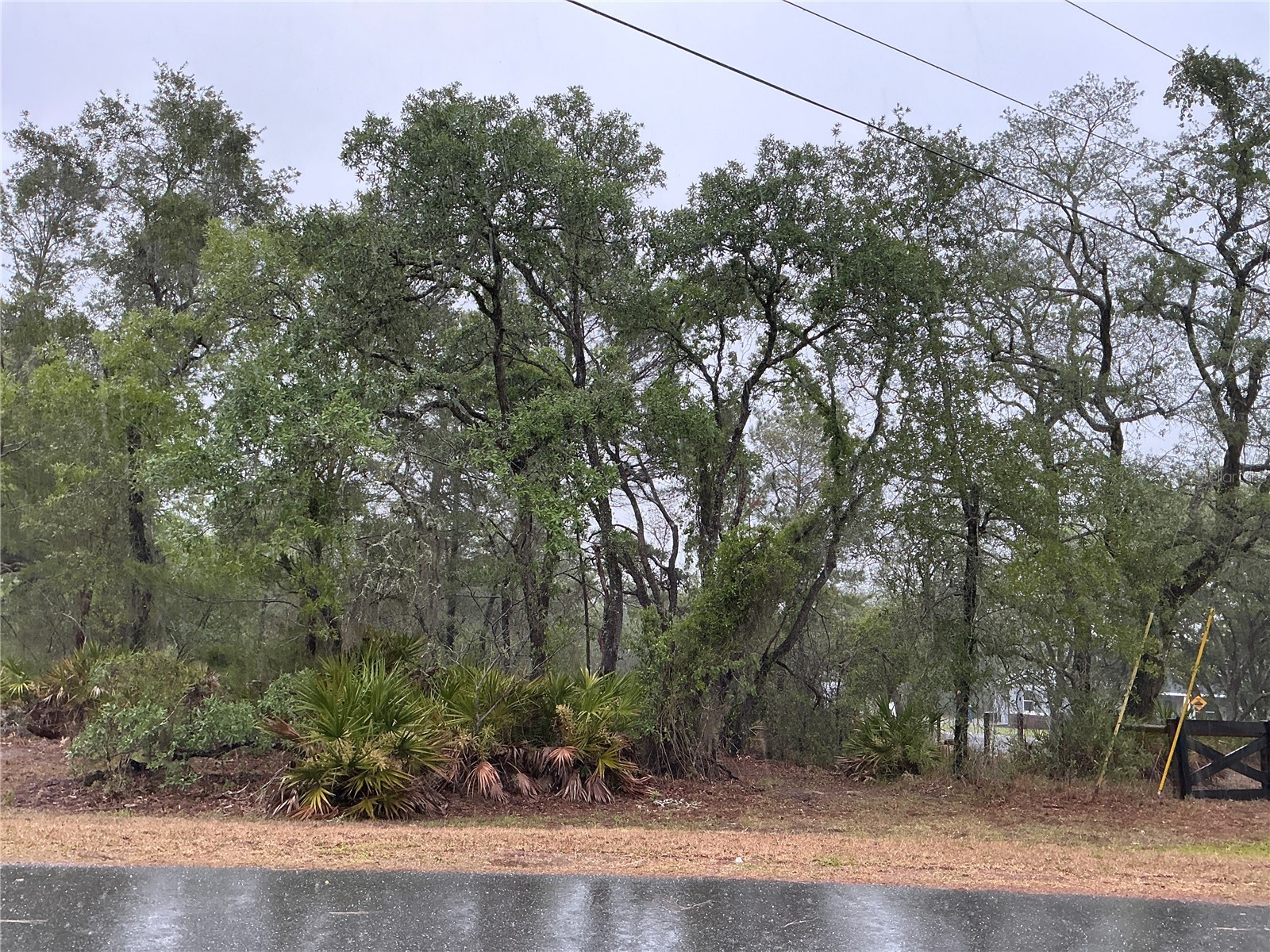 10353 Meadow Wren Avenue Weeki Wachee FL 34613 OM724830 image1