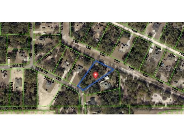 10353 Meadow Wren Avenue Weeki Wachee FL 34613 OM724830 image2