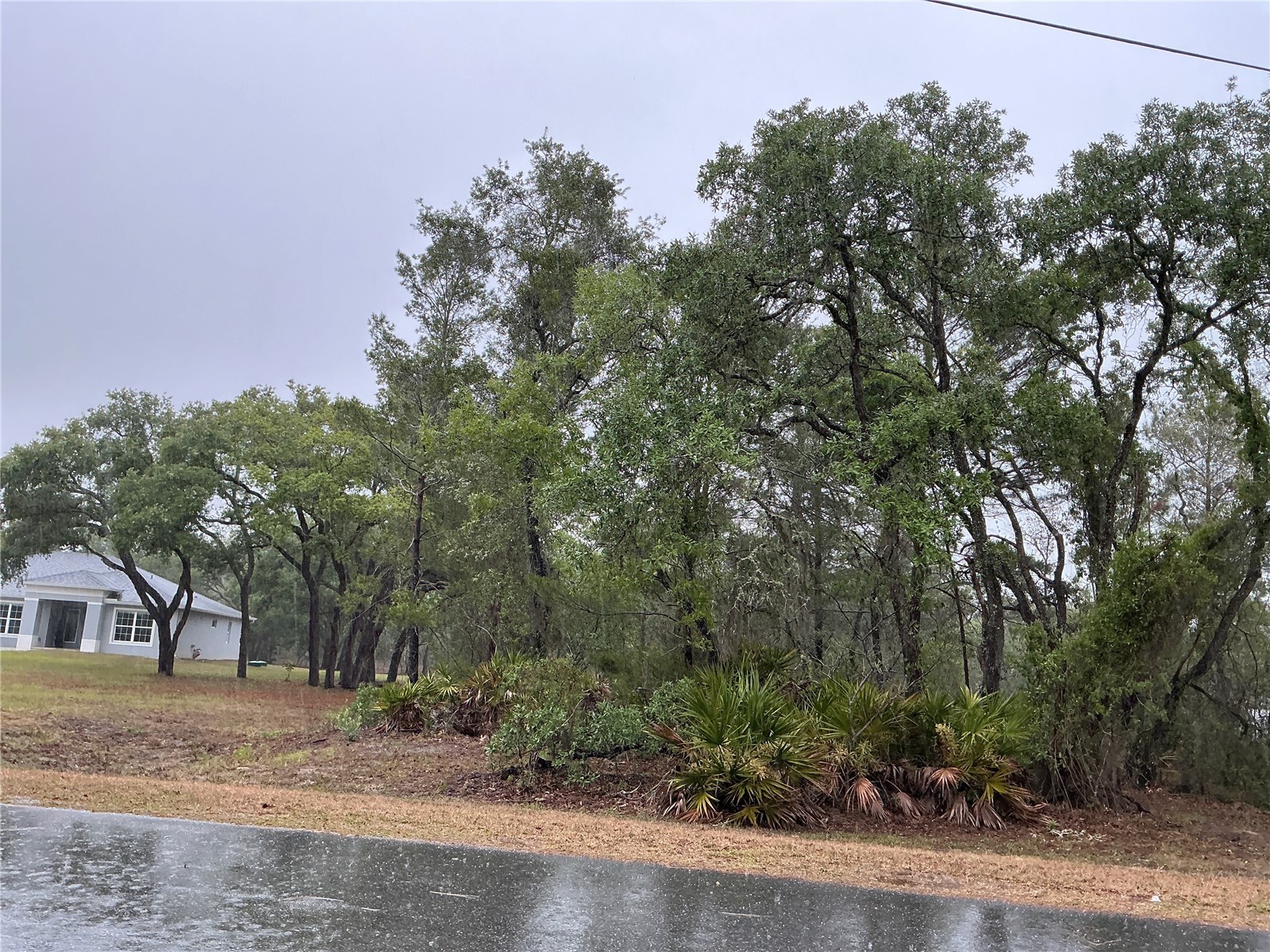 10353 Meadow Wren Avenue Weeki Wachee FL 34613 OM724830 image3