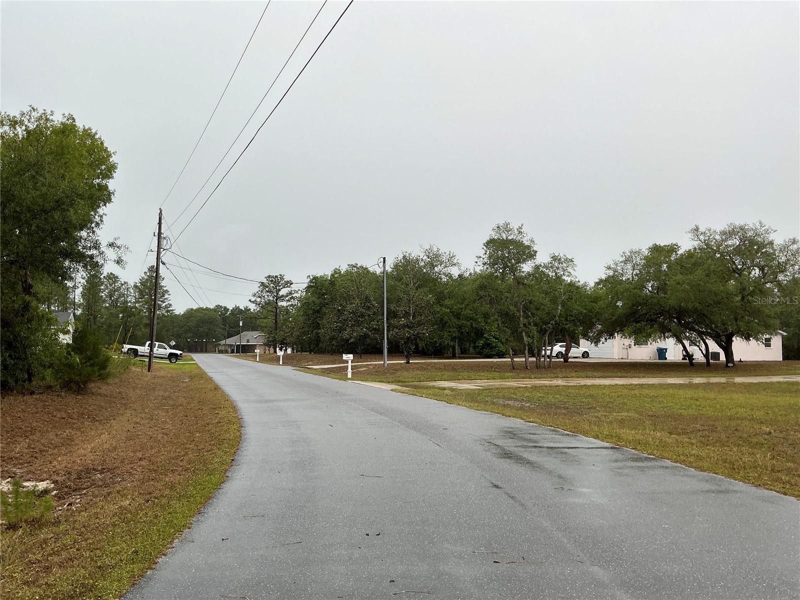 10353 Meadow Wren Avenue Weeki Wachee FL 34613 OM724830 image7
