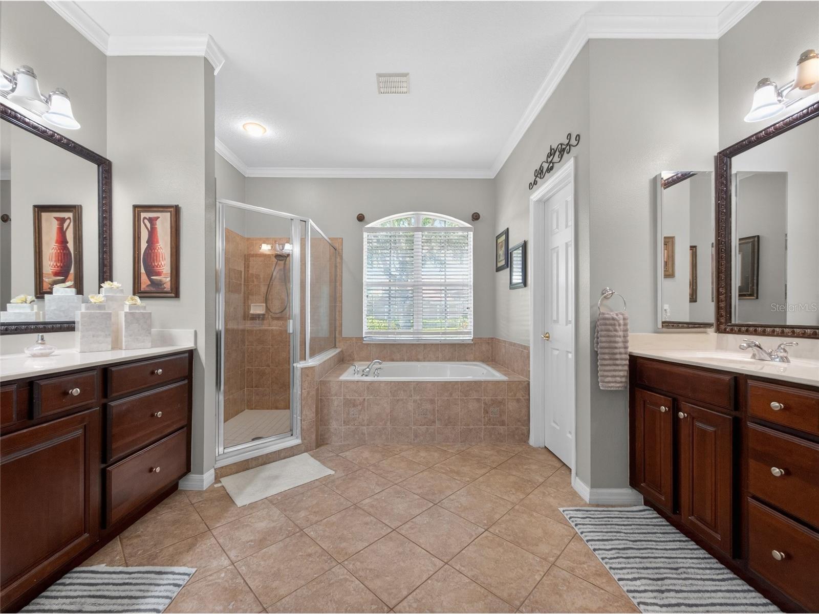 10354 Oakview Pointe Terrace Gotha FL 34734 O6404503 image29