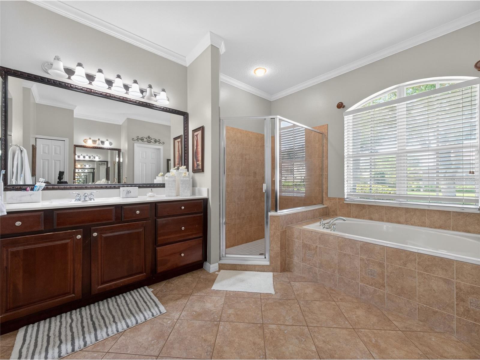 10354 Oakview Pointe Terrace Gotha FL 34734 O6404503 image31