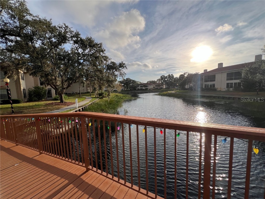 10355 Carrollwood Lane #143 Tampa FL 33618 TB8454878 image19