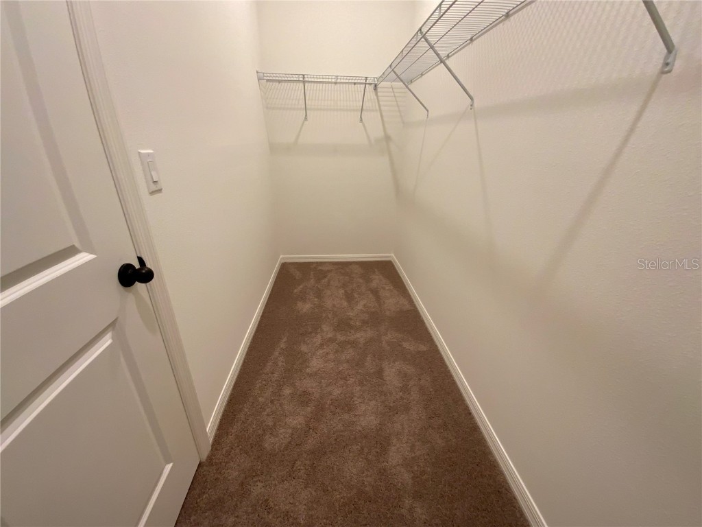 10355 Honeysuckle Vine Circle Riverview FL 33578 TB8454517 image14