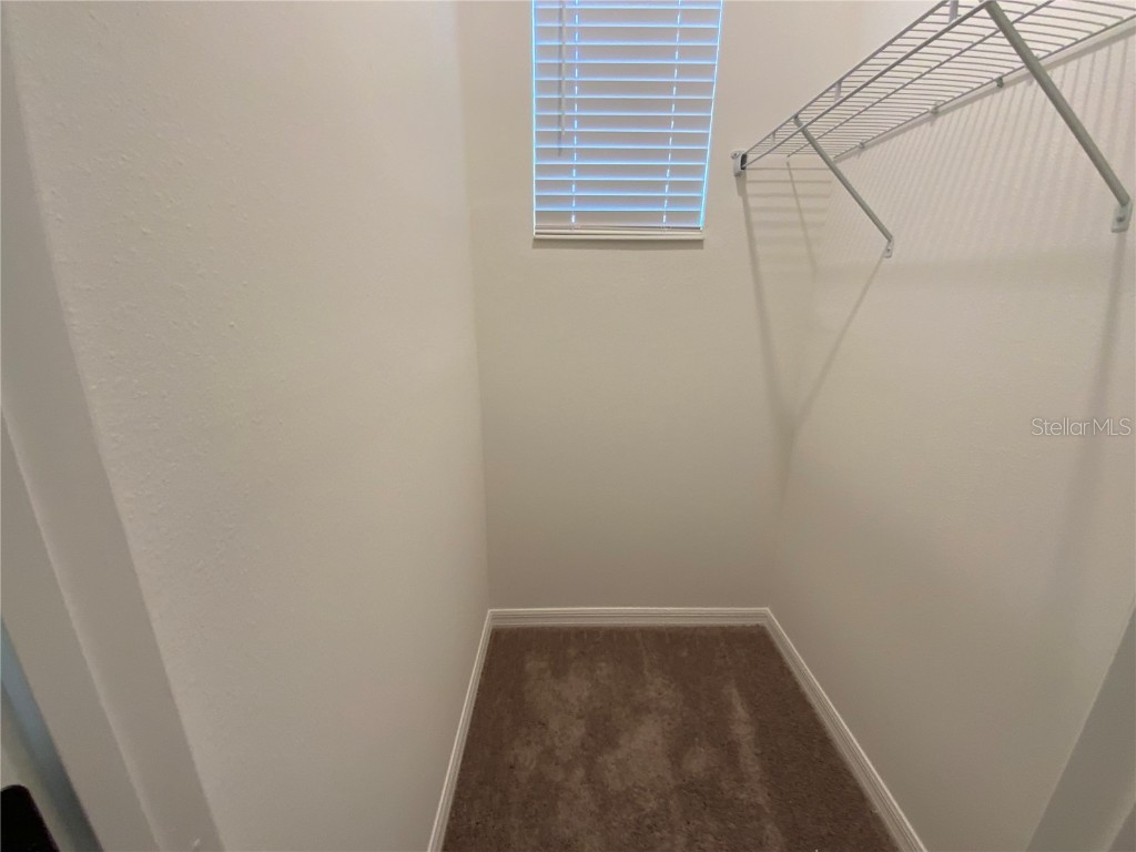 10355 Honeysuckle Vine Circle Riverview FL 33578 TB8454517 image9