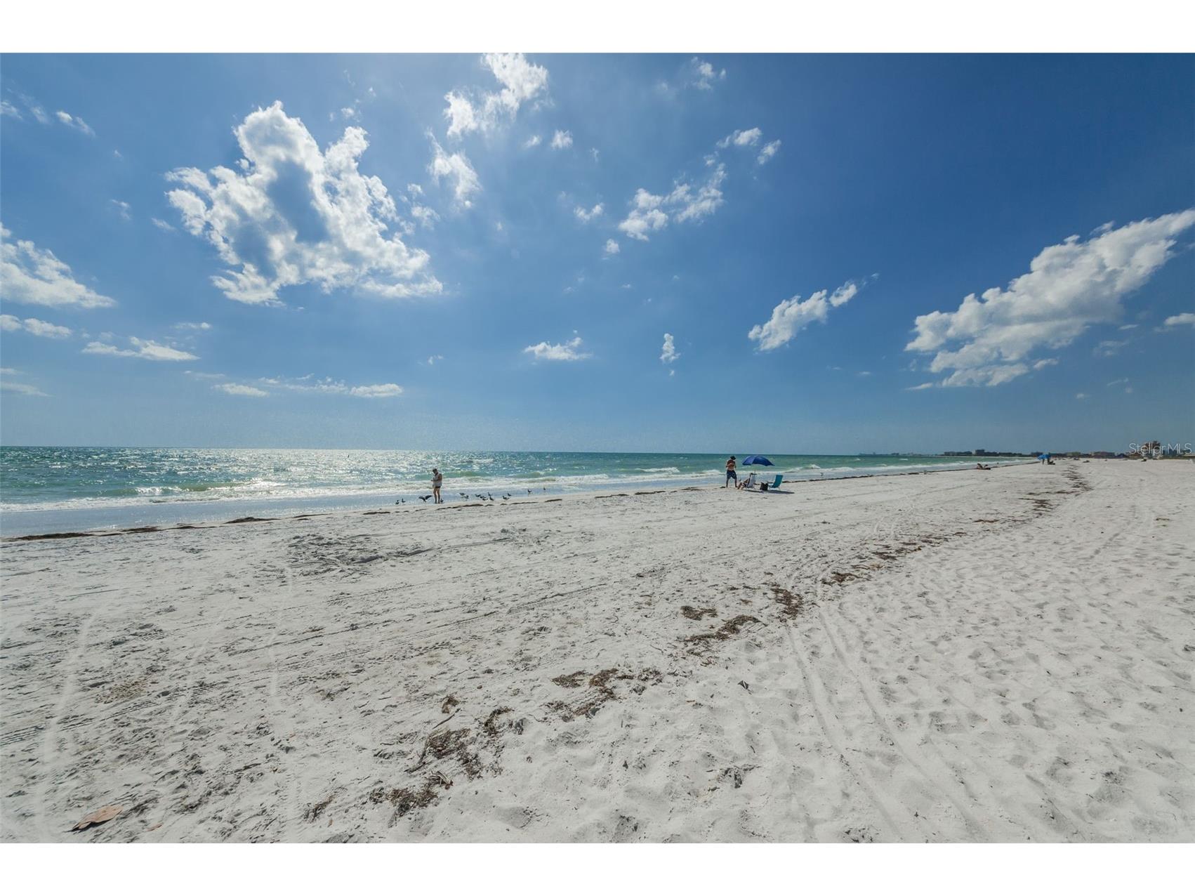 10355 Paradise Boulevard #711 Treasure Island FL 33706 TB8472314 image48