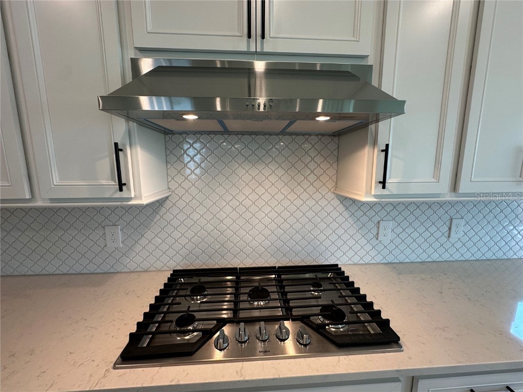 10355 Parkview Reserve Lane Orlando FL 32836 O6310430 image13