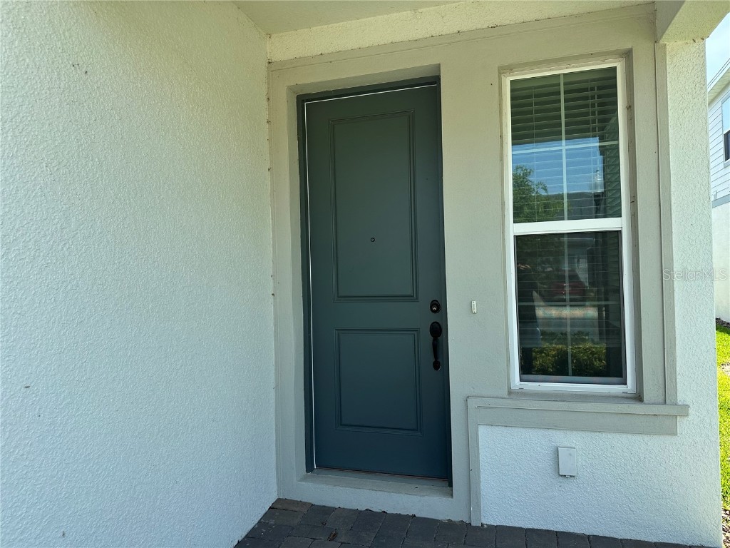 10355 Parkview Reserve Lane Orlando FL 32836 O6310430 image4