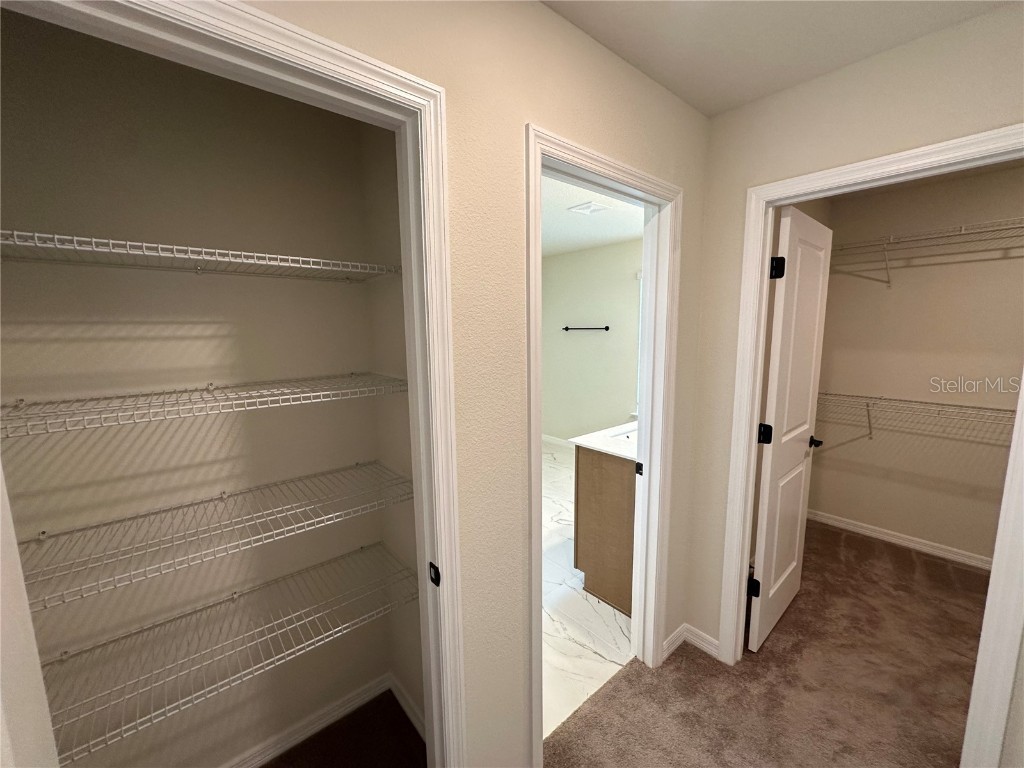 10355 Parkview Reserve Lane Orlando FL 32836 O6310430 image51