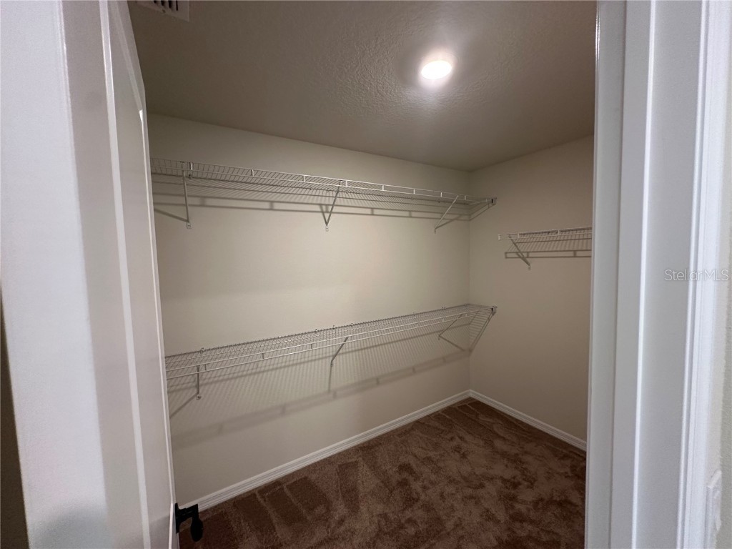 10355 Parkview Reserve Lane Orlando FL 32836 O6331943 image53