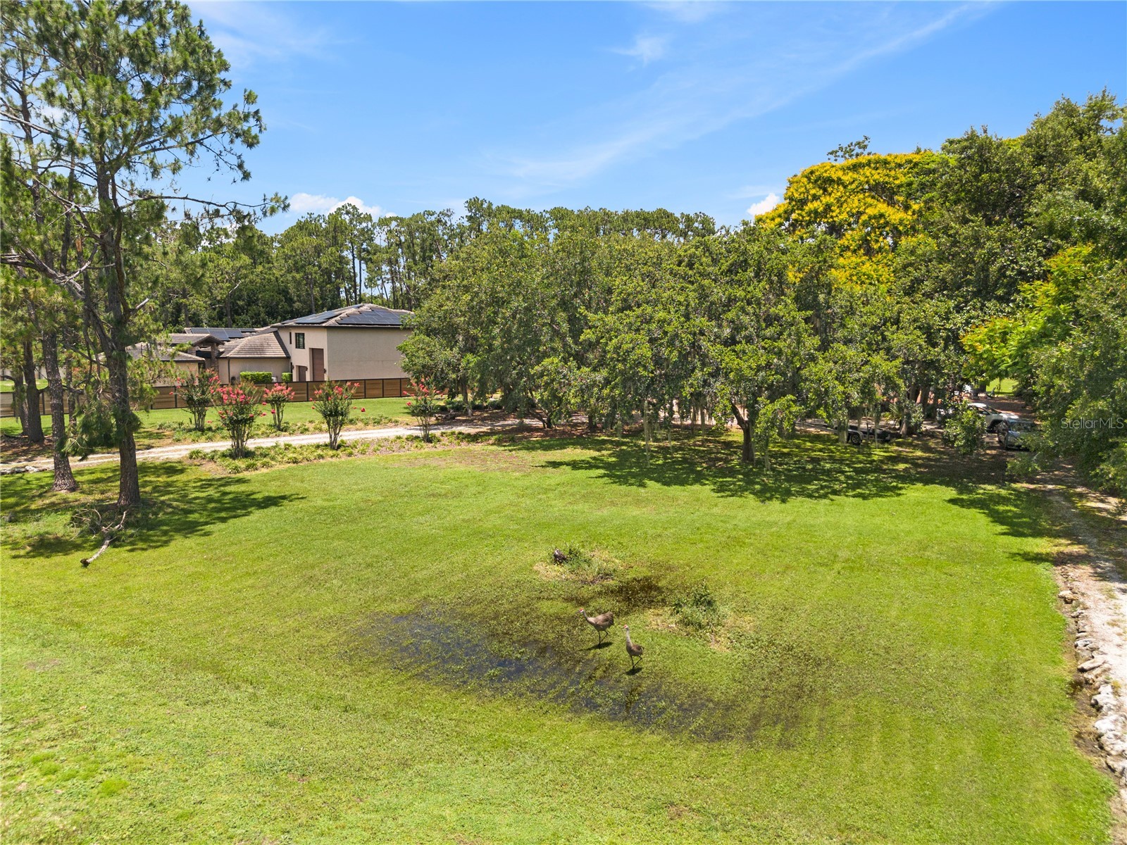 10355 Trout Road Orlando FL 32836 O6422074 image9
