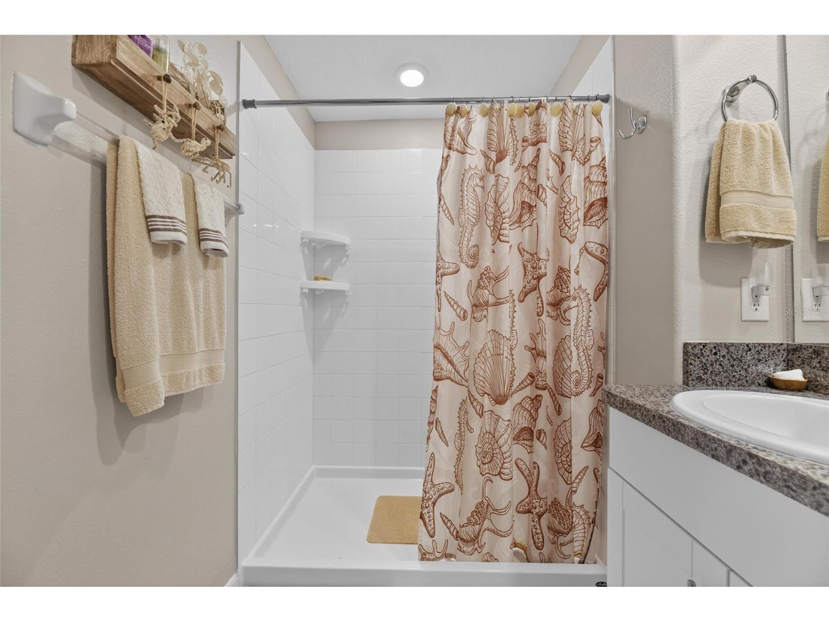 10356 Blue Plume Court Riverview FL 33578 TB8506574 image23