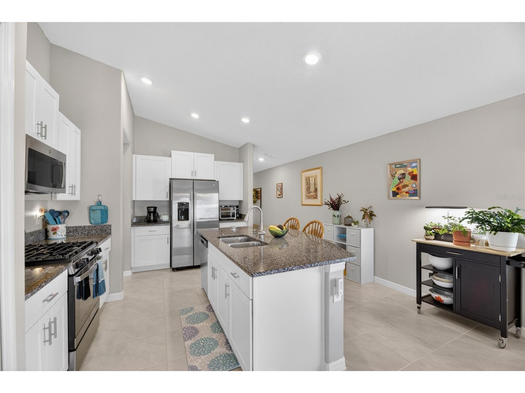 10356 Blue Plume Court Riverview FL 33578 TB8506574 image9