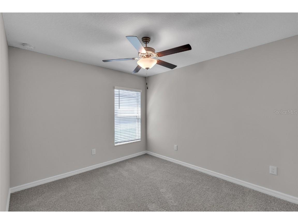 10357 Scarlet Skimmer Drive Riverview FL 33578 O6336726 image15