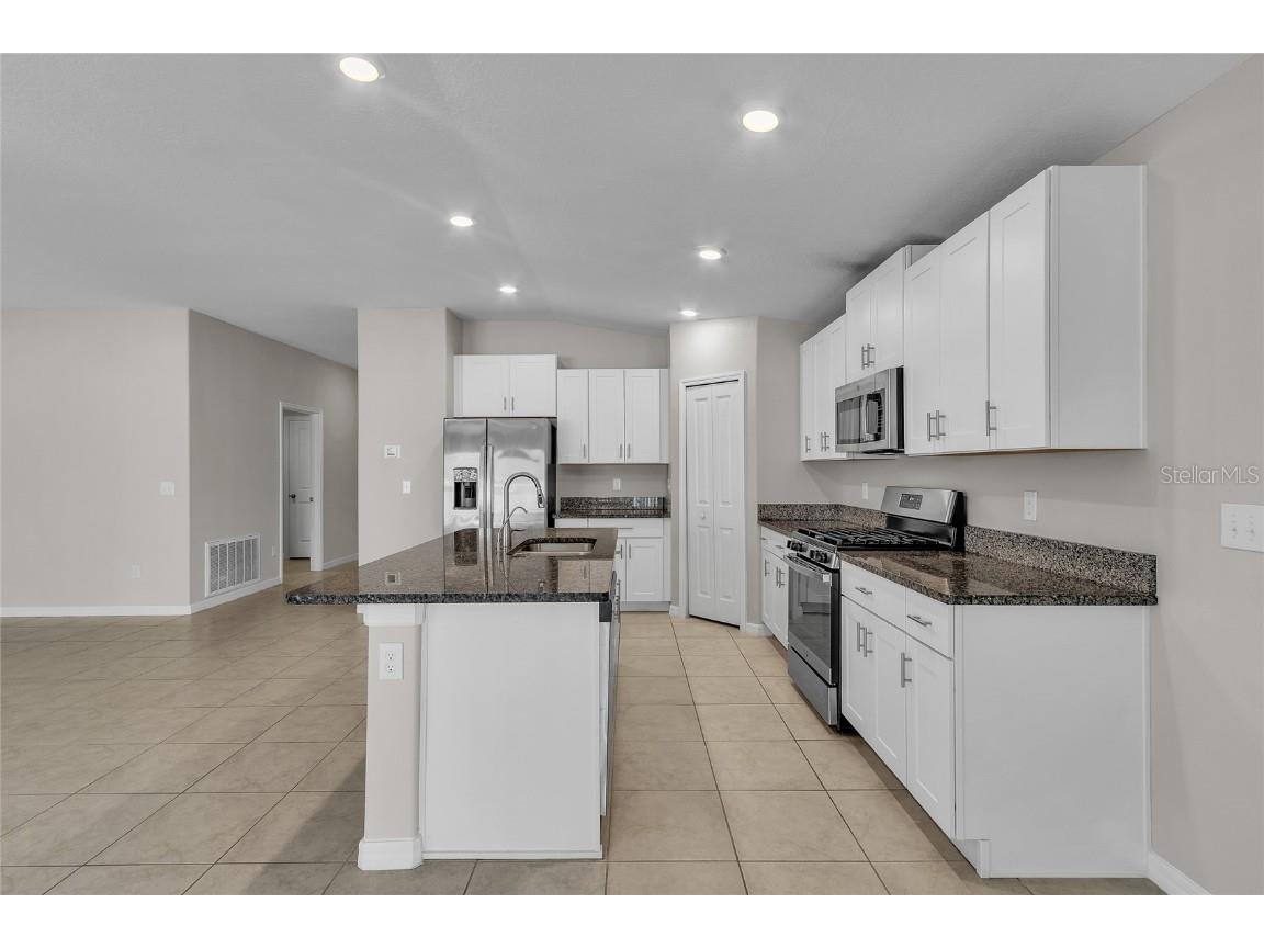 10357 Scarlet Skimmer Drive Riverview FL 33578 O6336726 image21