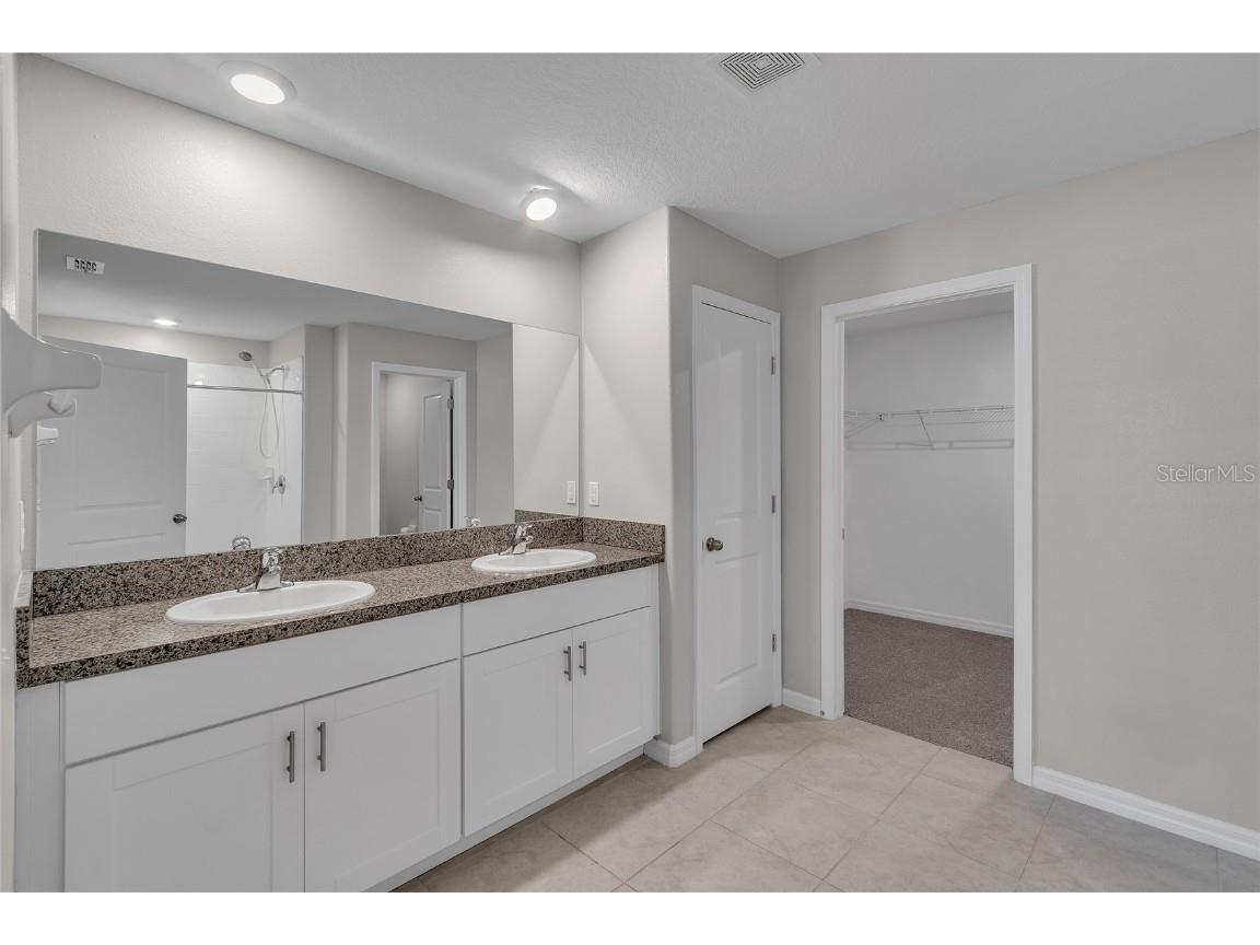 10357 Scarlet Skimmer Drive Riverview FL 33578 O6336726 image29