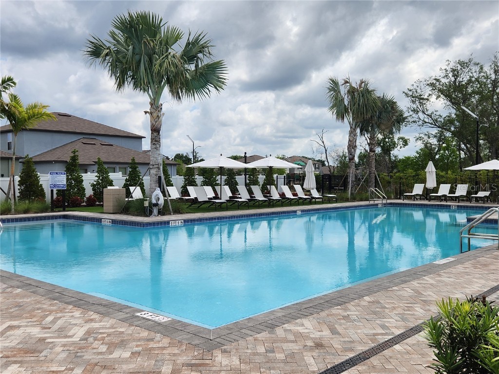 10357 Scarlet Skimmer Drive Riverview FL 33578 O6336726 image34