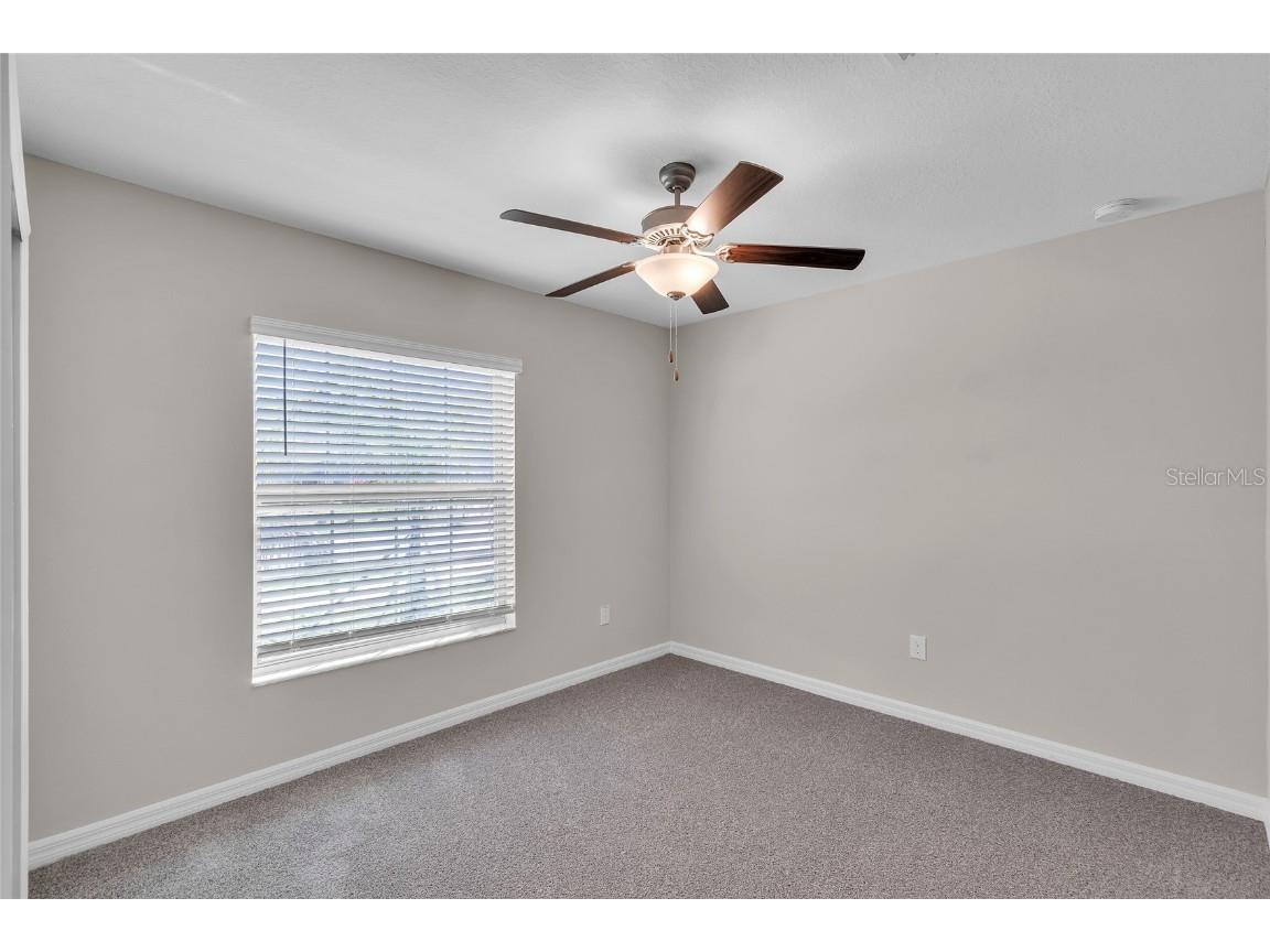 10357 Scarlet Skimmer Drive Riverview FL 33578 O6336726 image8