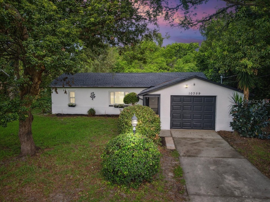 10359 Horizon Drive Spring Hill FL 34608 W7856027 image1