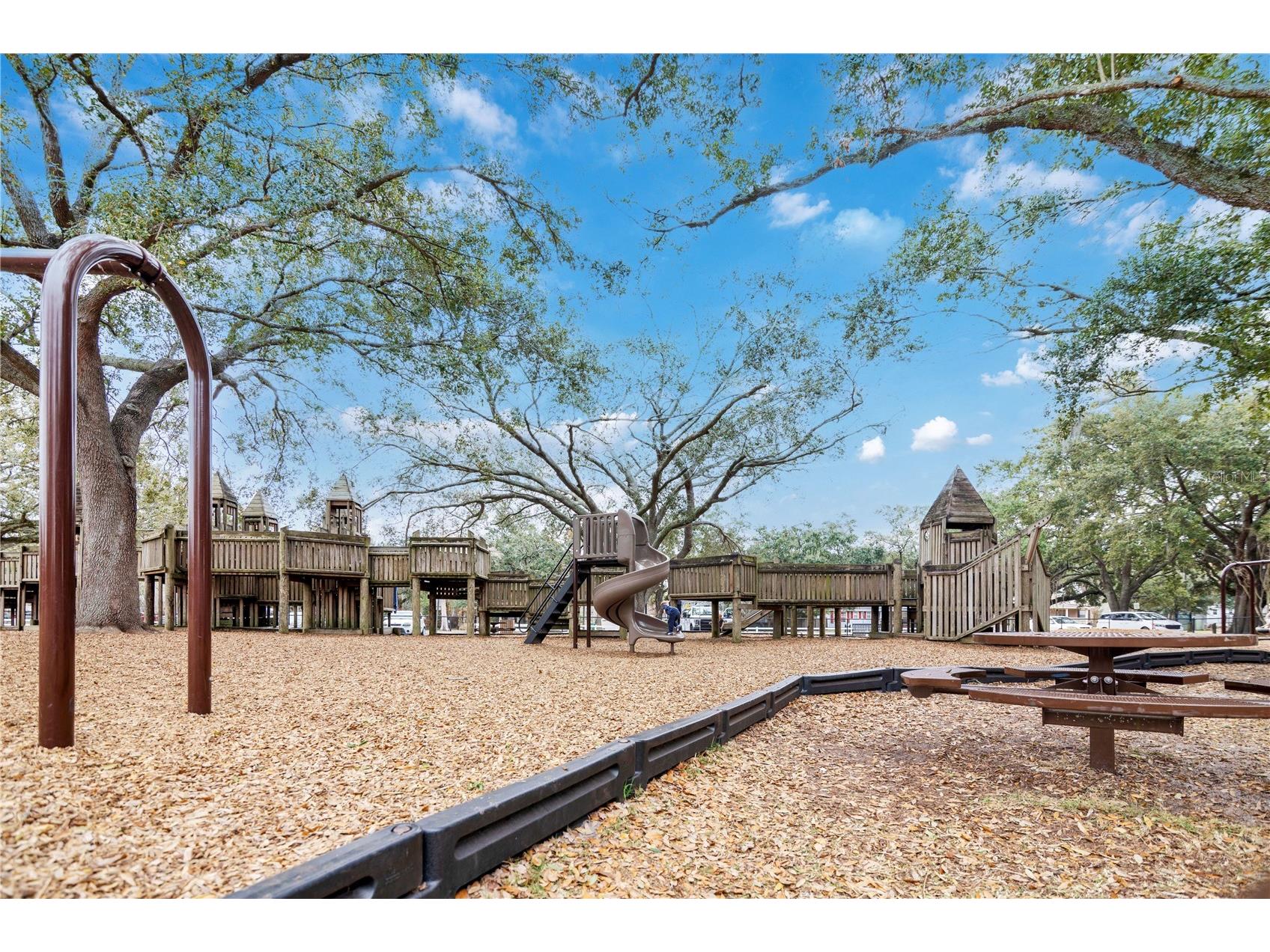 1036 Aragon Avenue Winter Park FL 32789 O6382491 image38