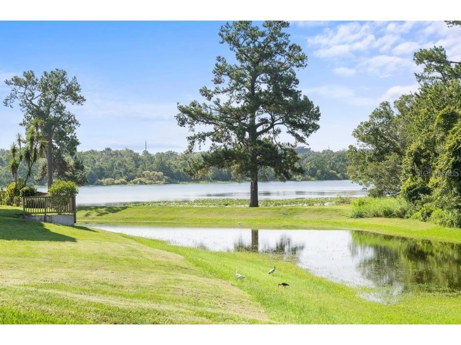 1036 Bonaire Drive #2832 Altamonte Springs FL 32714 - LAKE LOTUS NS1083577 image15