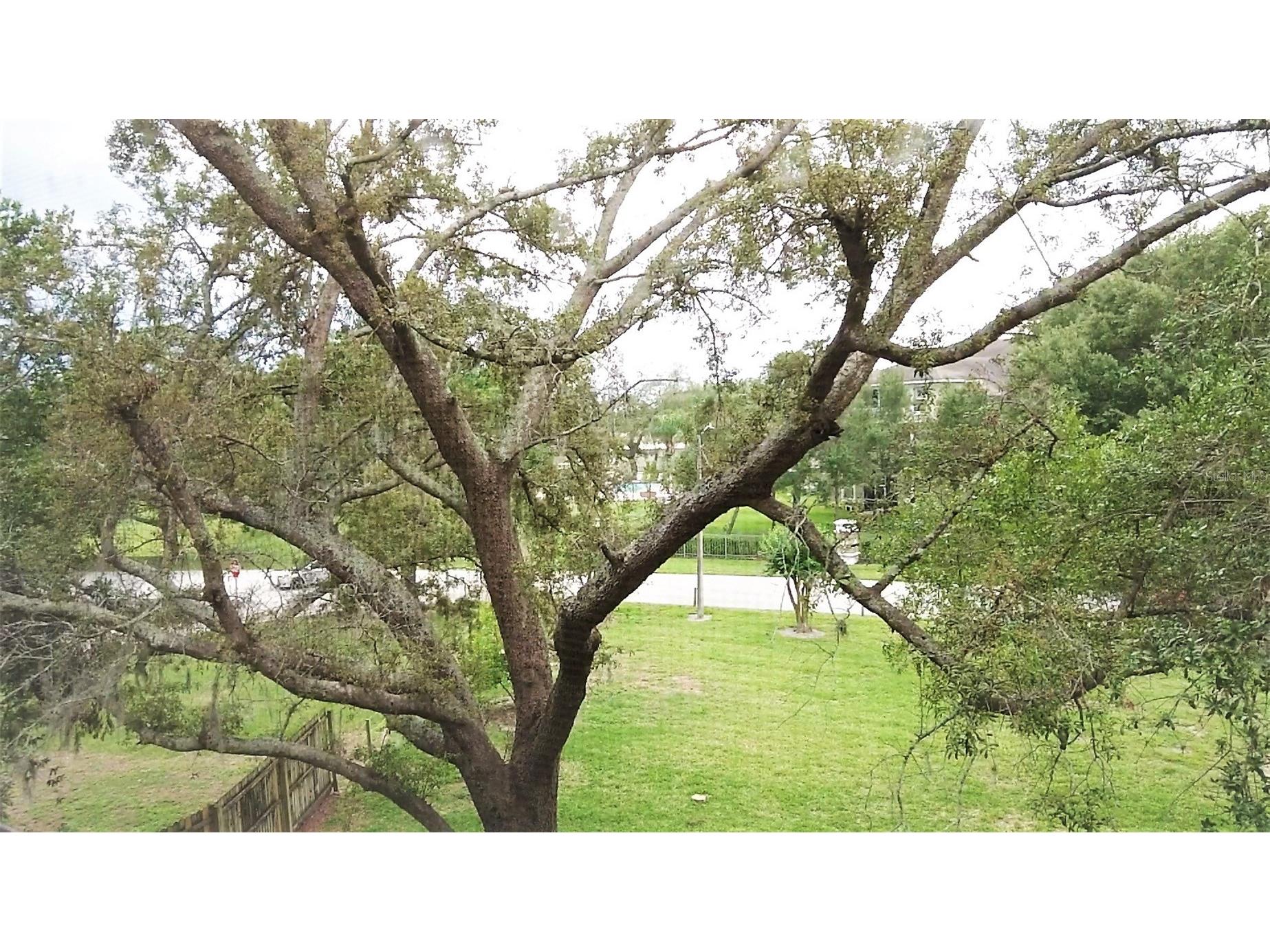 1036 Bonaire Drive #2836 Altamonte Springs FL 32714 O6378978 image15