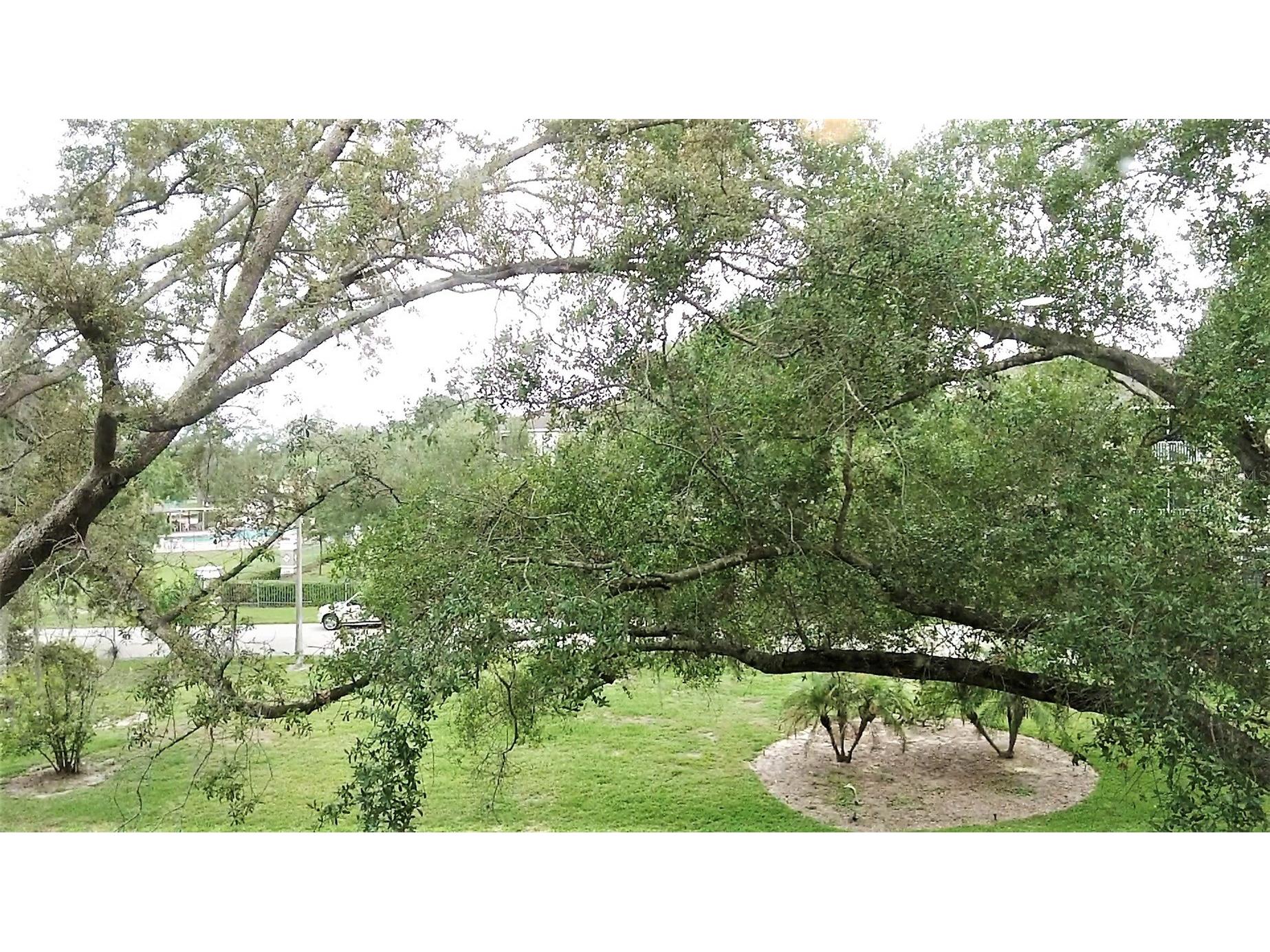 1036 Bonaire Drive #2836 Altamonte Springs FL 32714 O6378978 image34