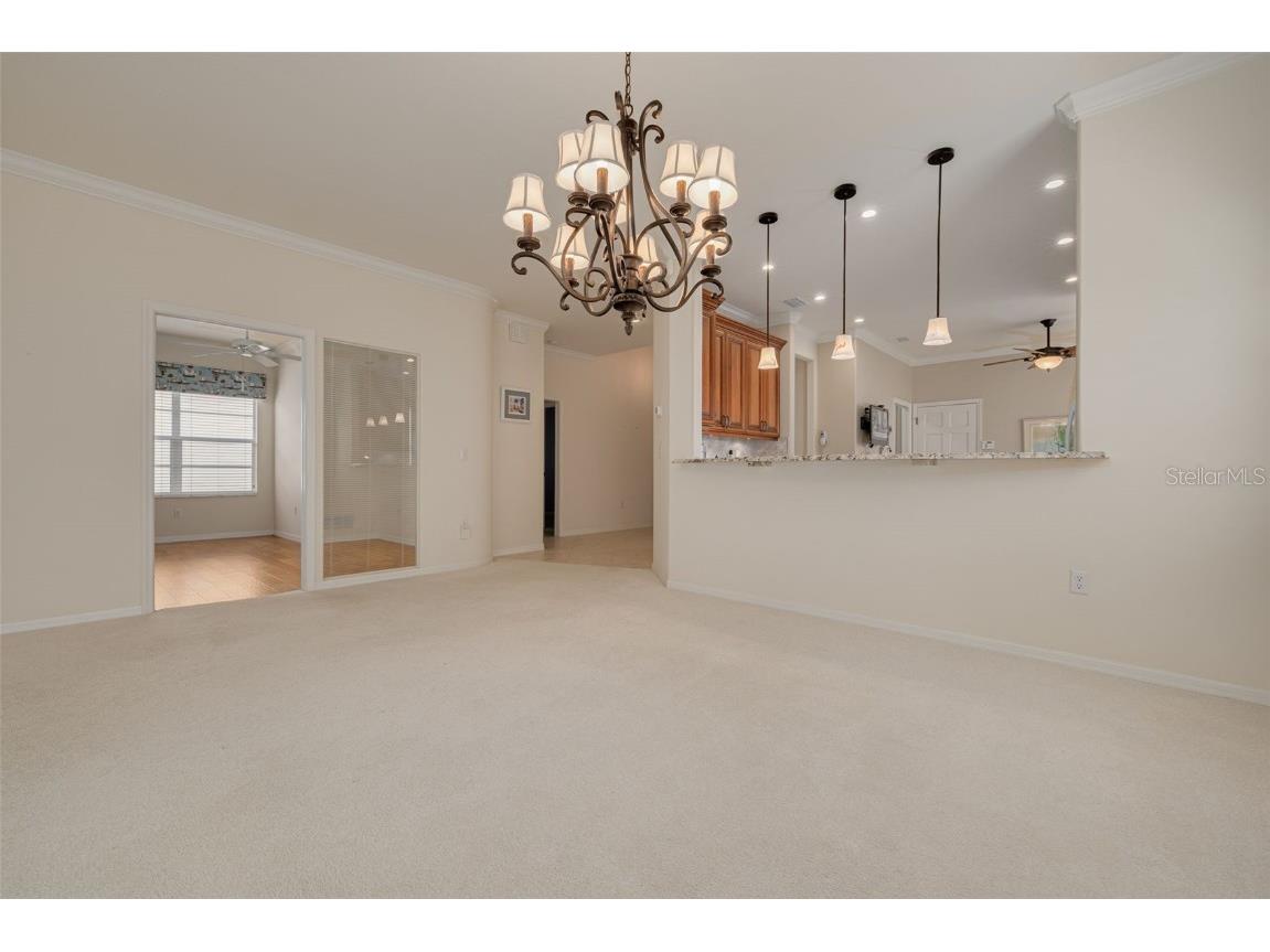 1036 Dartford Drive Tarpon Springs FL 34688 TB8455478 image14